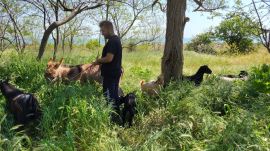 0d5dc8ea-4e34-41a9-bb0c-f12fdc84fddf