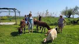 photo-2024-04-15-11-54-41