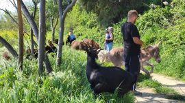 photo-2024-04-15-11-54-42