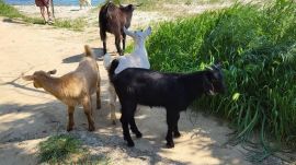 photo-2024-04-15-11-54-43