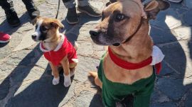 img_20251130_123952_resized_20251202_112756957